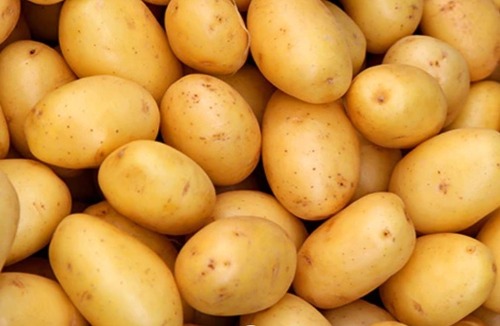 Fresh Potatoes